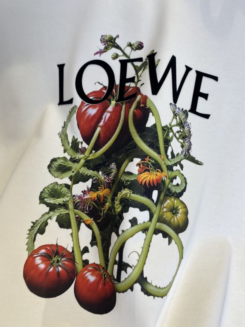 Loewe Hoodies